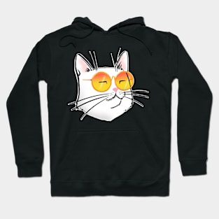 Cool Cat insta Cat Hoodie